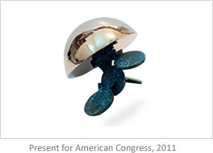 Present for American Congress, 2011